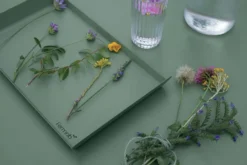 Fermob Alto Tray Dienblad 36x23 Acapulco Blue 41 Fermob Alto Tray Dienblad 36x23 Acapulco Blue -Fermob x886x886 fermob alto tray dienblad 36x2321.jpg.pagespeed.ic .lYUUvI0 xb 1