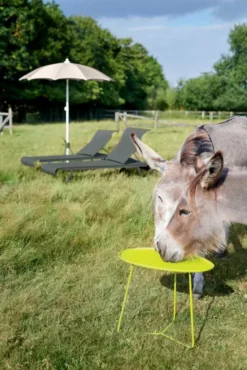 Fermob Cocotte Bijzettafel Large Nutmeg -Fermob x886x886 fermob cocotte bijzettafel large31.jpg.pagespeed.ic .5nD0ZU7UvE