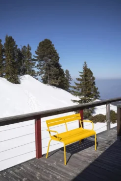 Fermob Luxembourg Tuinbank Met Rug En Armleuning Rosemary -Fermob x886x886 fermob luxembourg tuinbank met rug en armleuning33.jpg.pagespeed.ic .QIOHx1Z 8L 7