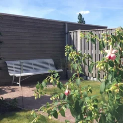 Fermob Louisiane Tuinbank 150 Anthracite -Fermob x886x886 myflinders tuin fermob louisiane bank 200.jpg.pagespeed.ic .JwmbSzmdLG 2